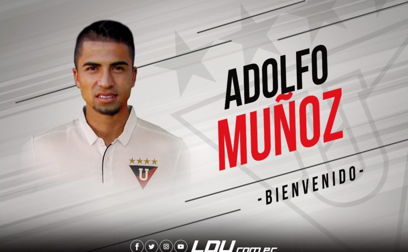 Adolfo Muñoz, Cuarto refuerzo albo para la temporada 2019.