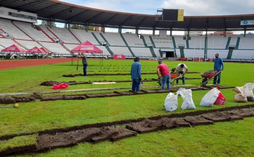 MANTENIMIENTO AL PALOGRANDE