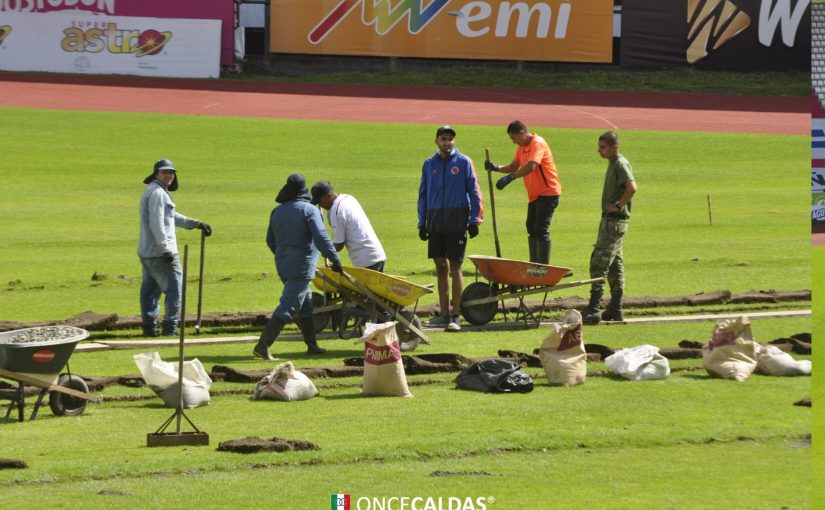 TRABAJOS EN EL CAMPO DEL PALOGRANDE